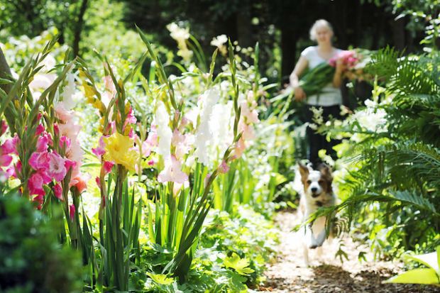 Perennial Pathway
