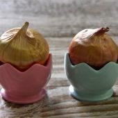 Bulb Place Setting - Gladioli Egg Holder