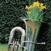 Recycled Musical Instrument Planter