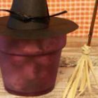 Witches Brew of Bulbs