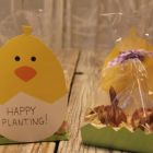 Bulb Place Setting - Custom Card