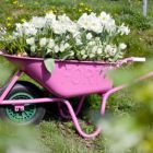 Wheelbarrow Planter